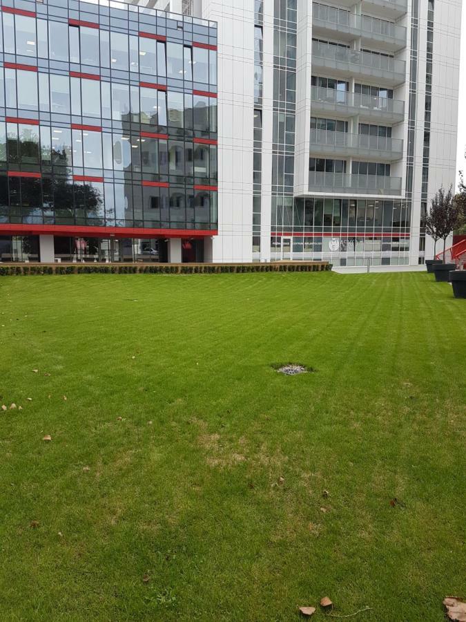 Apartament Towarowa 37 Познань Екстер'єр фото